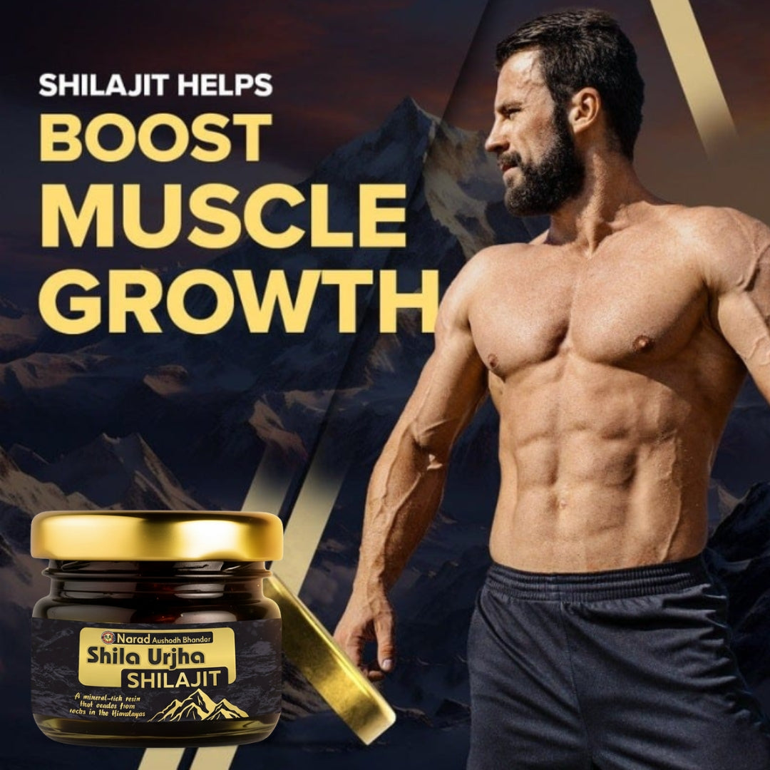 Narad Himalayan Shilajit – Natural Resin